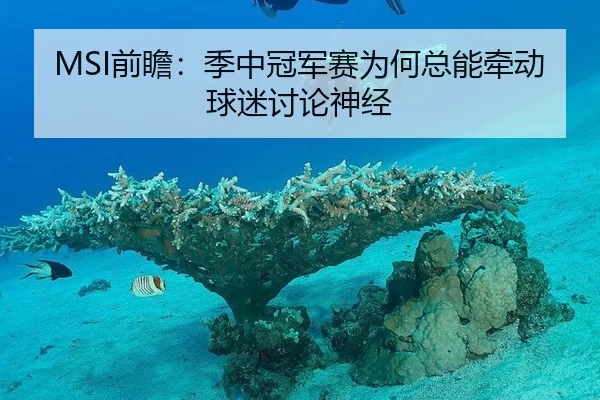 MSI前瞻：季中冠军赛为何总能牵动球迷讨论神经