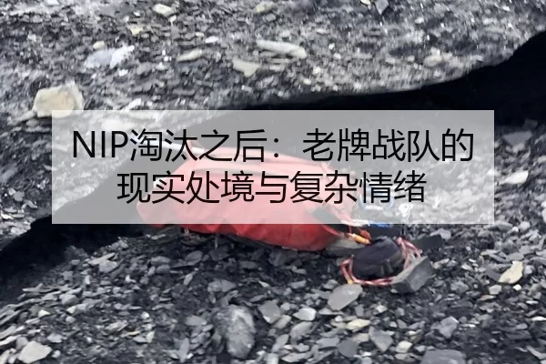 NIP淘汰之后：老牌战队的现实处境与复杂情绪